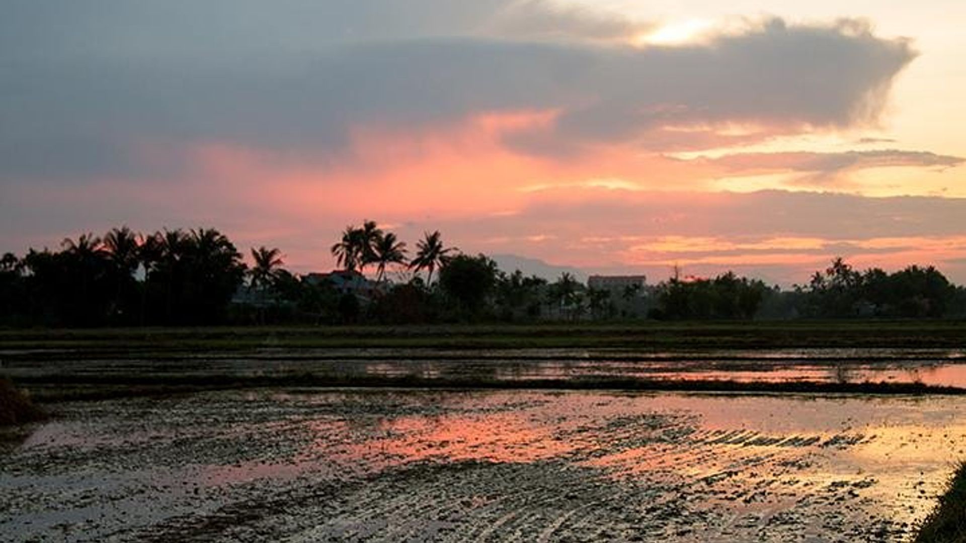 Visite photographique du lever ou du coucher du soleil à Hoi An : Privé ou en petit groupe