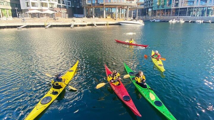 Oslofjord Sea Kayak Tour from Central Oslo