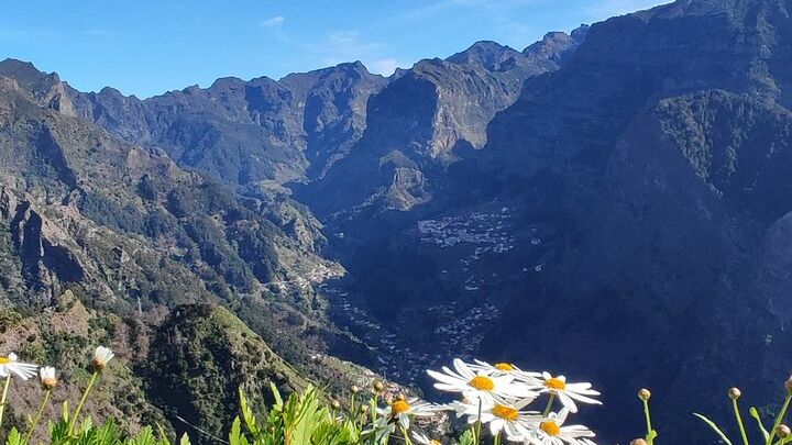 Madeira Private Half-Day 4x4 Jeep Tour with Local Guide