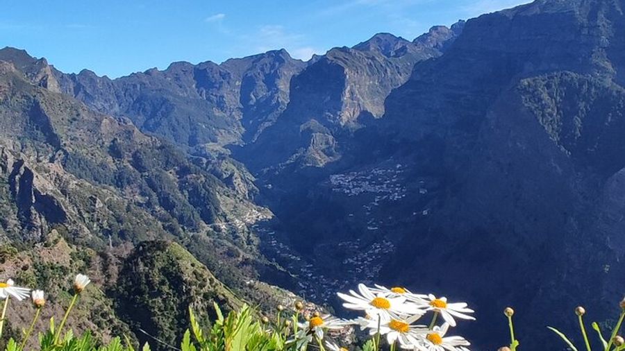 Madeira Private Half-Day 4x4 Jeep Tour with Local Guide