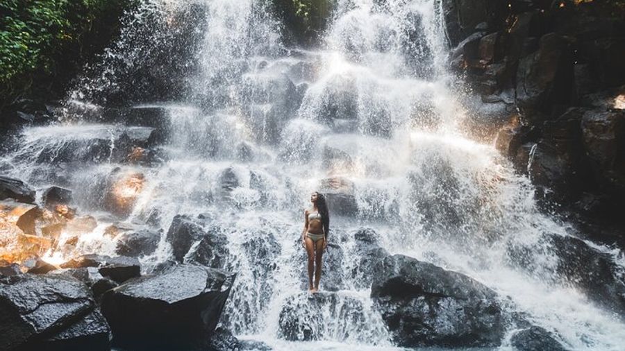 Ubud Private Tour: Waterfalls, Temples, Terraces, and Swing