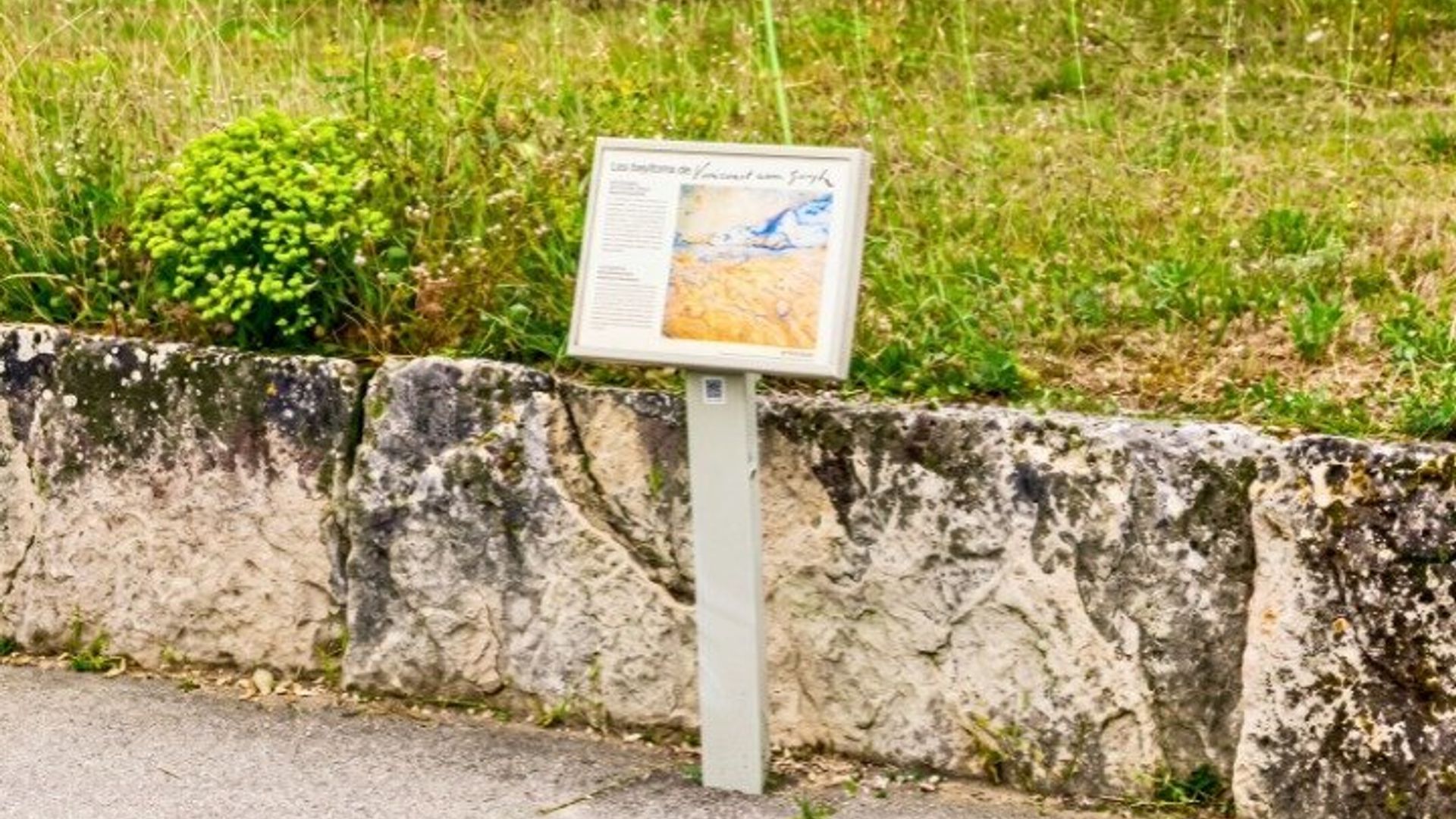 Saint-Rémy-de-Provence Van Gogh Visite guidée à pied
