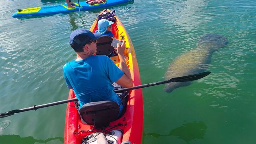 Sarasota: Turtle Beach Kayaking and Paddleboarding Tour