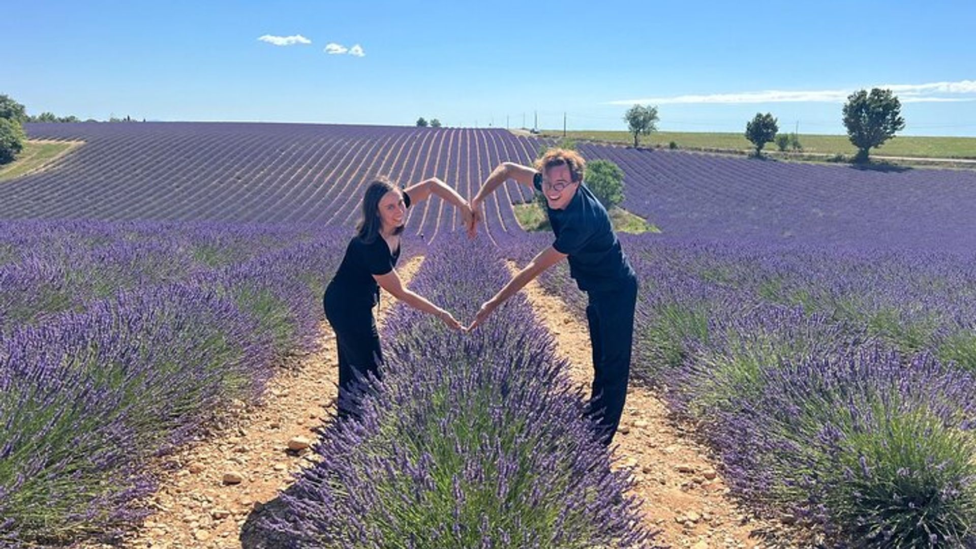 Excursion dans les champs de lavande de Provence au départ d'Aix-en-Provence