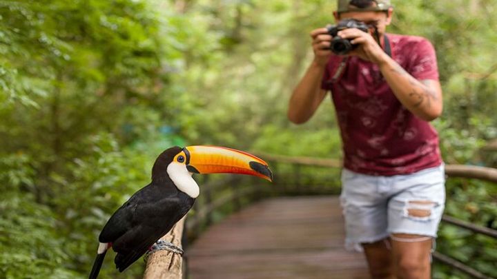 Iguazu Falls Brazilian Side & Bird Park from Puerto Iguazu