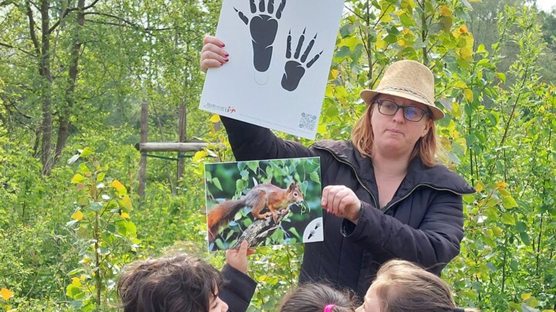 Wild animal treasure hunt