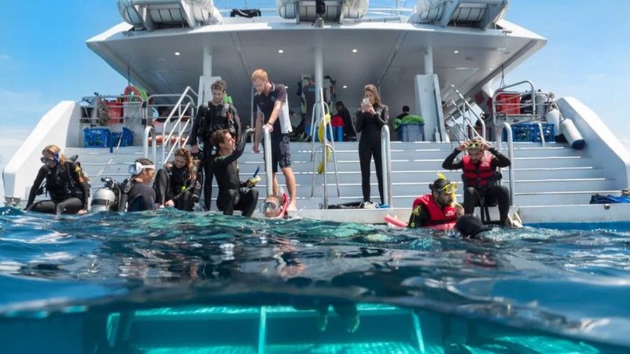 SeaQuest Day Trips to Outer Barrier Reef