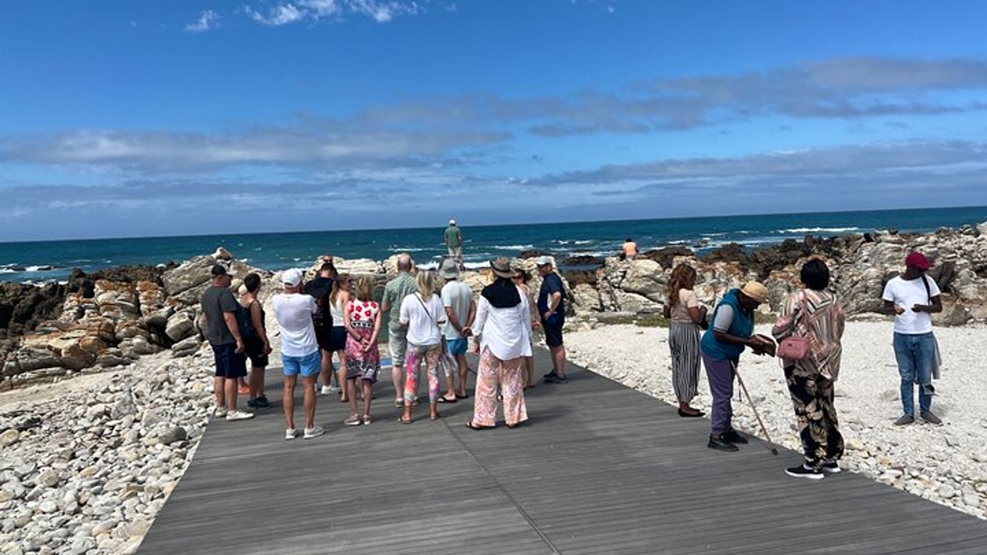 Cape Agulhas, visite privée d'une journée et dégustation de vin au départ du Cap