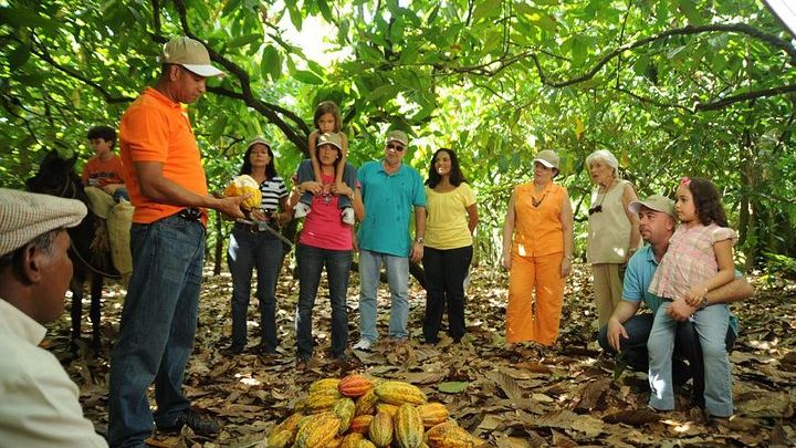 La Esmeralda Cacao Plantation and Chocolate Factory Tour