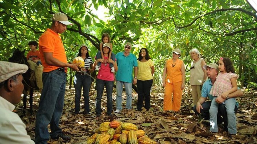 La Esmeralda Cacao Plantation and Chocolate Factory Tour