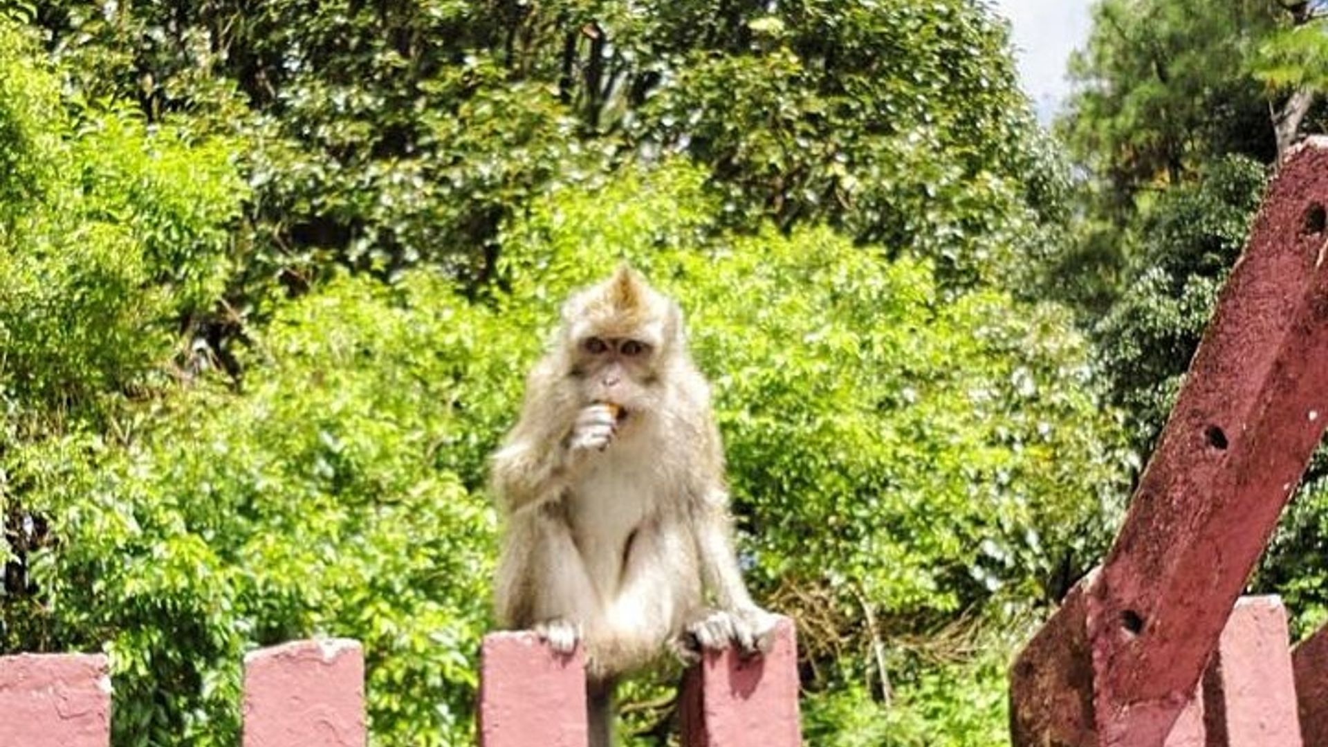 ทัวร์ส่วนตัวภาคตะวันตกเฉียงใต้ของมอริเชียส