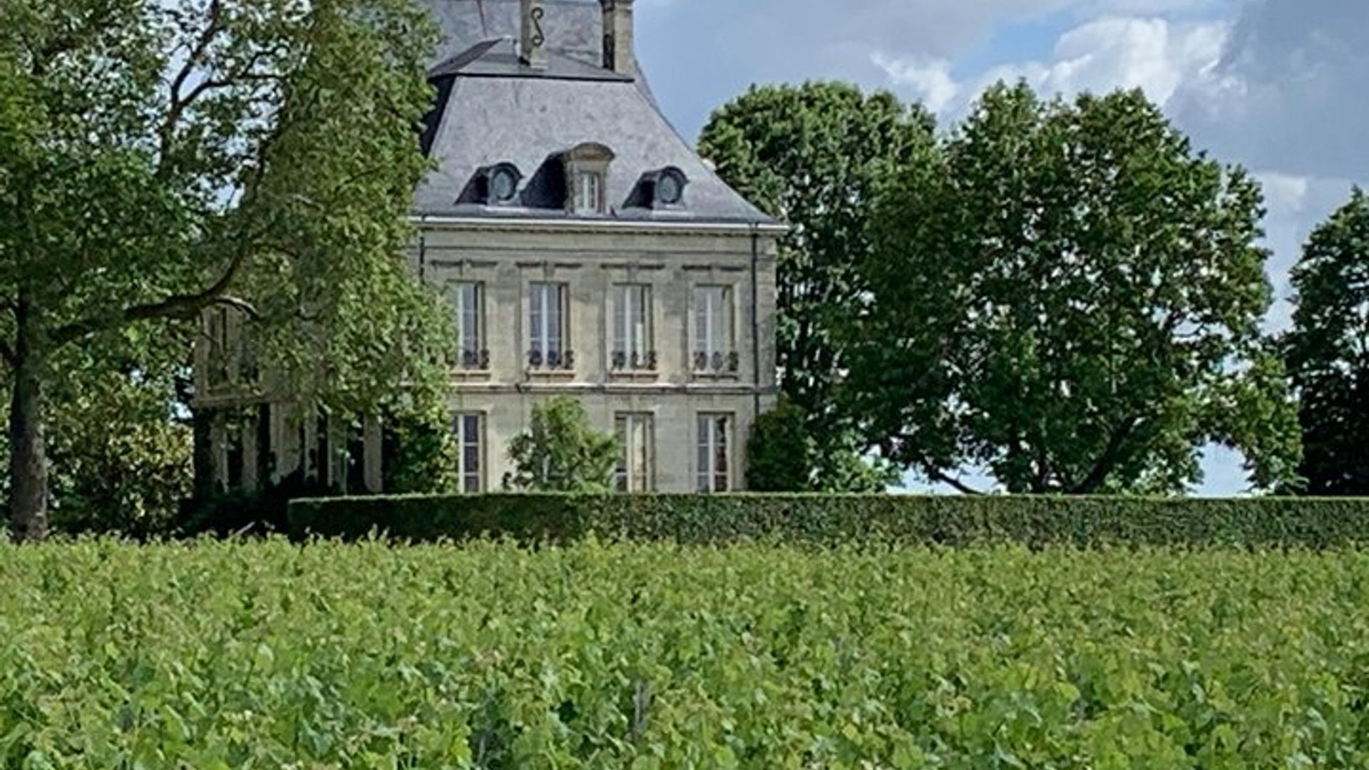 Private tour and visits on the Medoc Castle Route (Luxury Minivan)