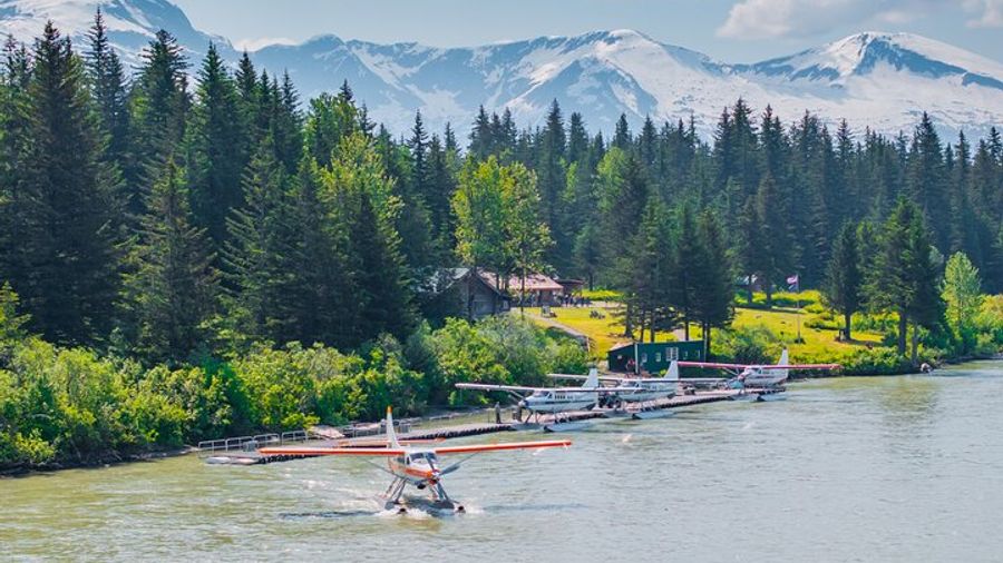 Taku Lodge Feast & 5-Glacier Seaplane Discovery