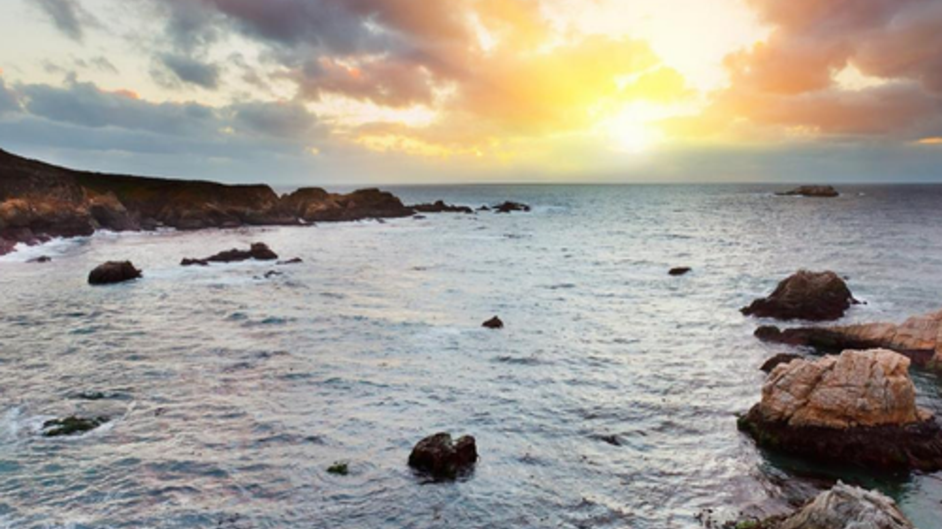 From San Francisco: Day Trip To Monterey and Carmel by the Sea image 2