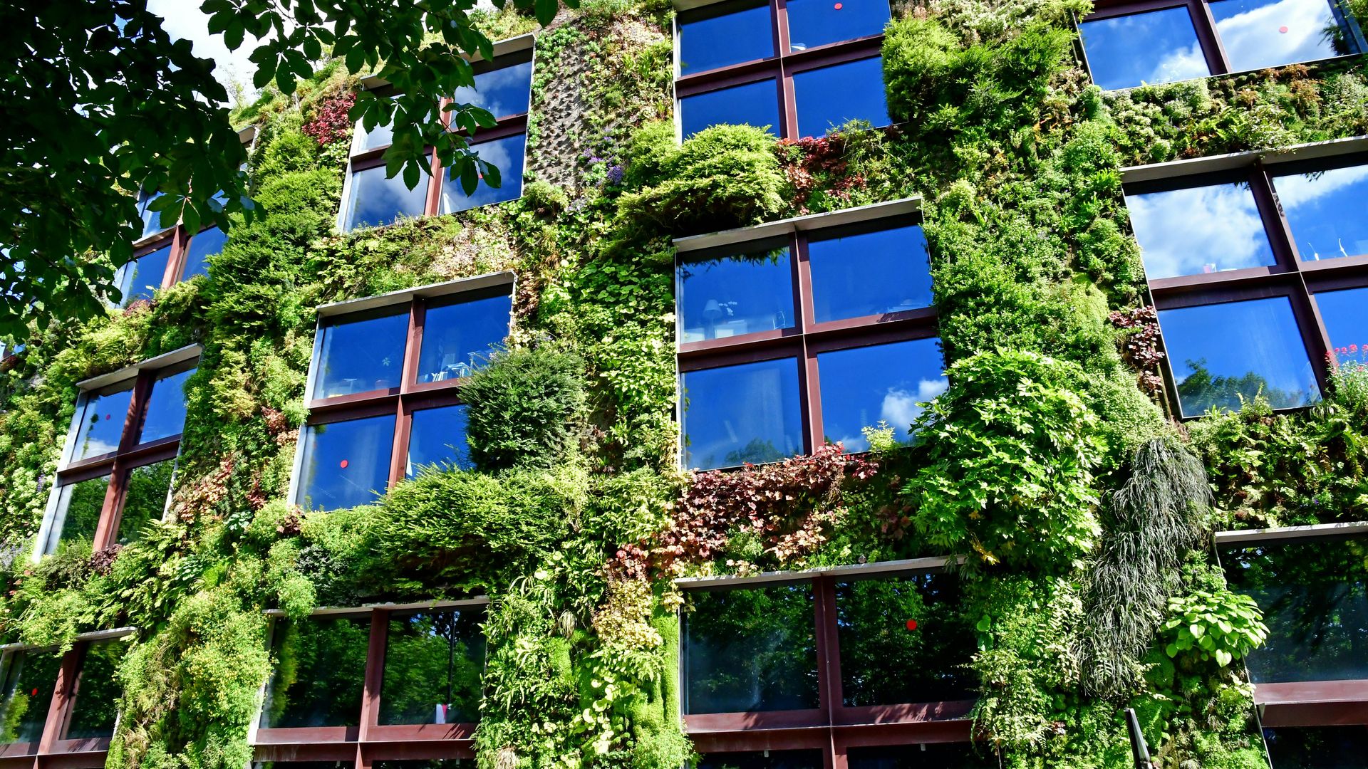 Entrance tickets to Musée du quai Branly — Jacques Chirac