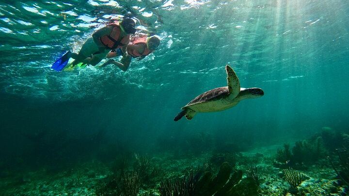 Snorkel Tour from Puerto Morelos
