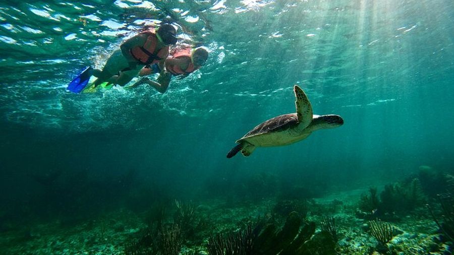 Snorkel Tour from Puerto Morelos