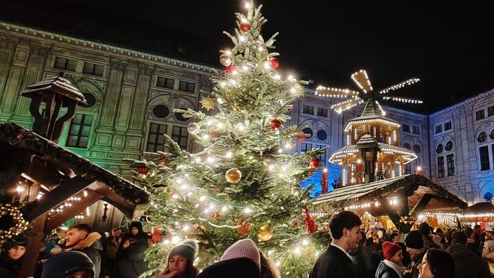 Munich Full-Day Neuschwanstein and Christmas Market Tour