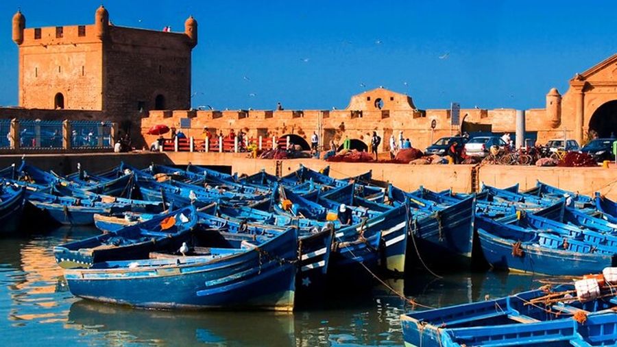 Essaouira Shared Day Tour from Marrakech