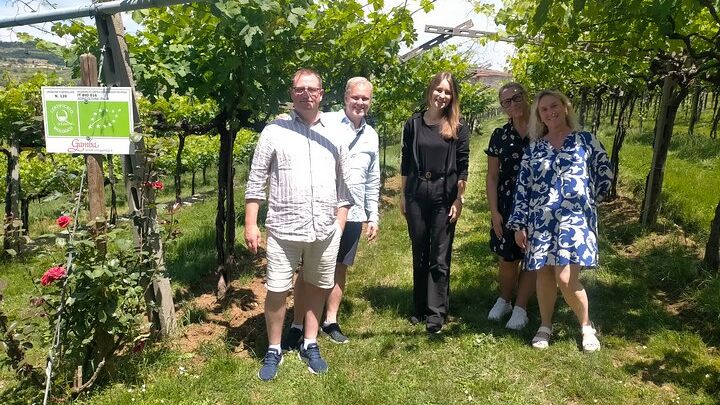 Valpolicella and Soave Private Full-Day Wine Tour From Venice