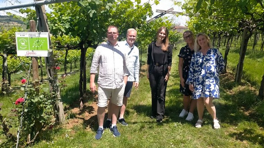 Valpolicella and Soave Private Full-Day Wine Tour From Venice