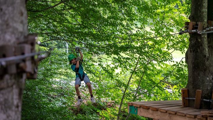 Seilpark High-Ropes Adventure Park Admission in Interlaken