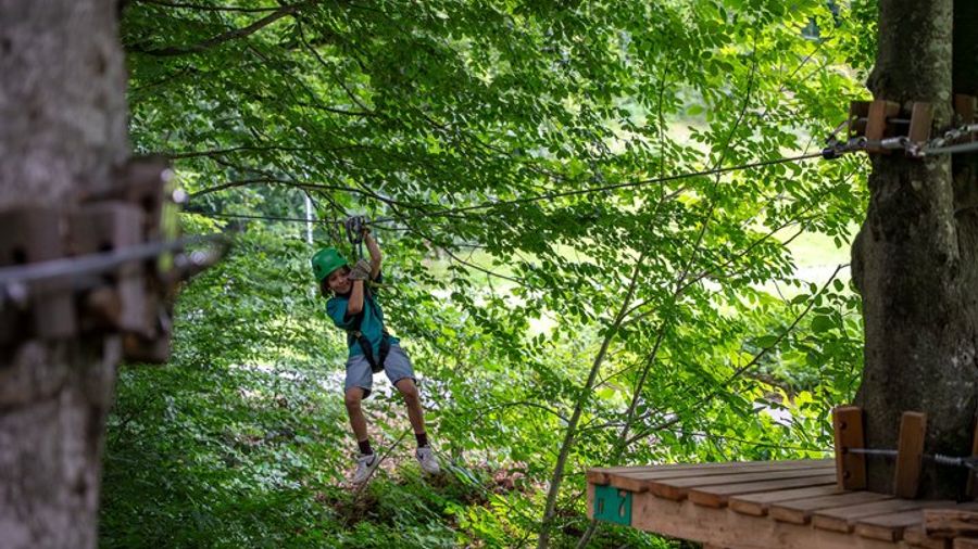 Seilpark High-Ropes Adventure Park Admission in Interlaken