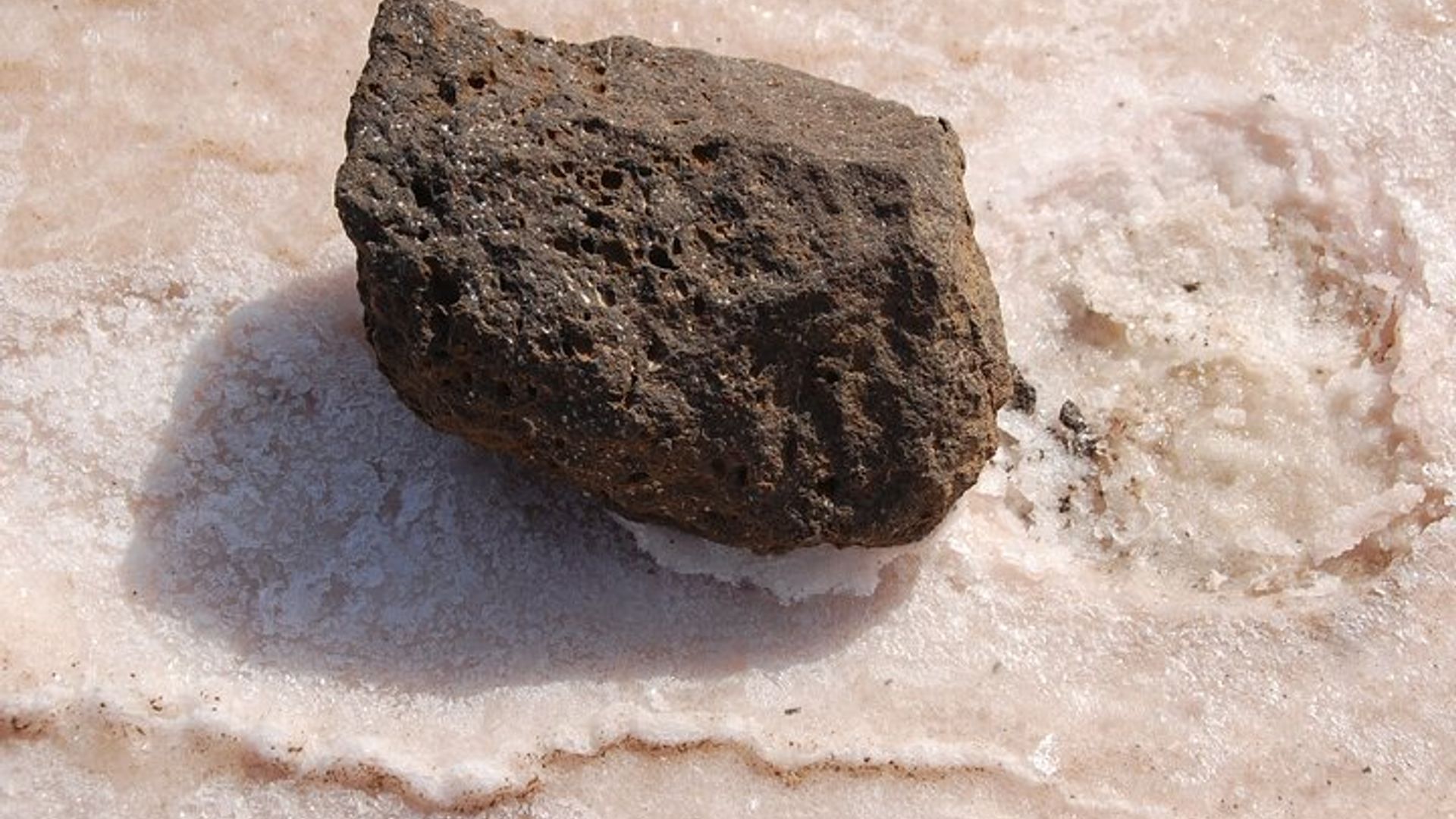 Segway-Tour durch Santa Maria