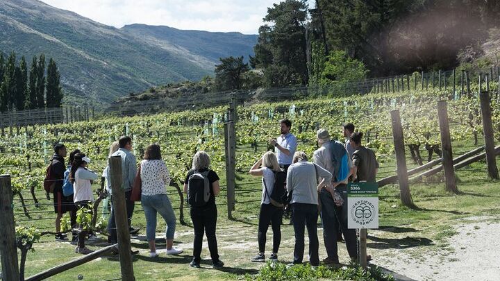 Gibbston Valley Adults-Only Wine Tour with Hotel Pickup