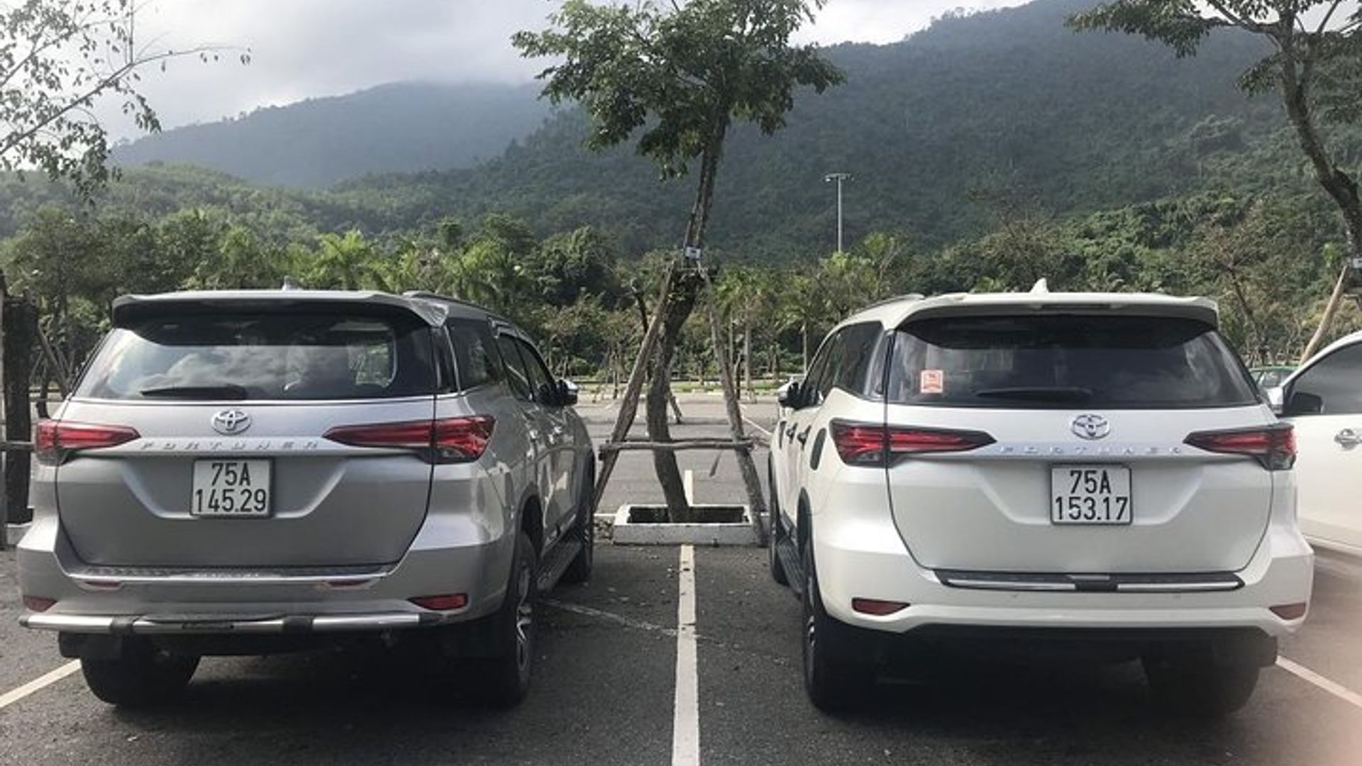 De Hoi An, Da Nang o Huế a Phong Nha en coche privado