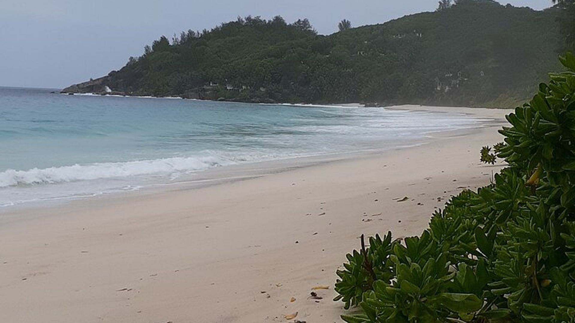 Mahe Private Half-Day Island Tour