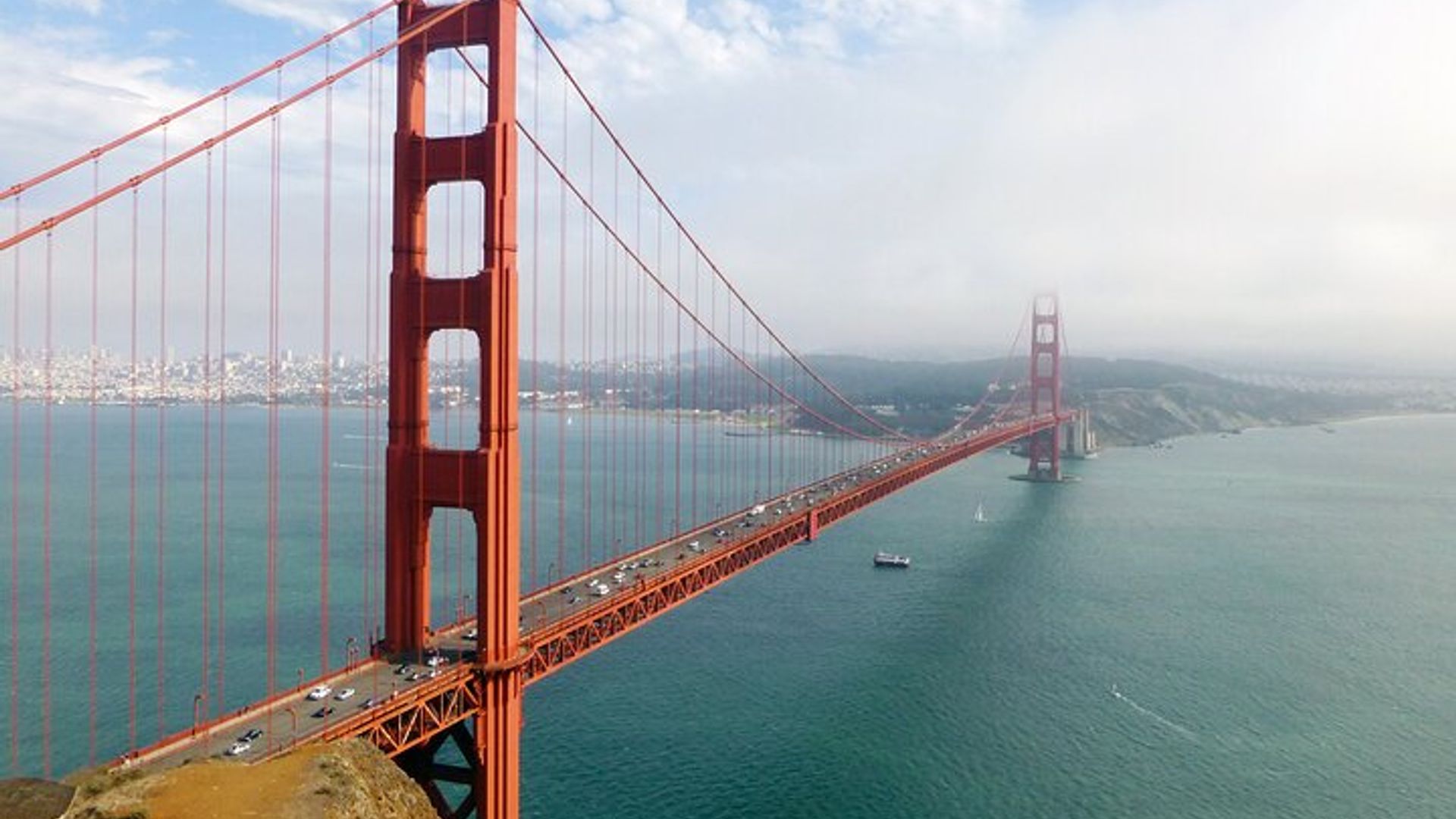 Muir Woods & Sausalito Tour + Hop-On Hop-Off Tour image 3