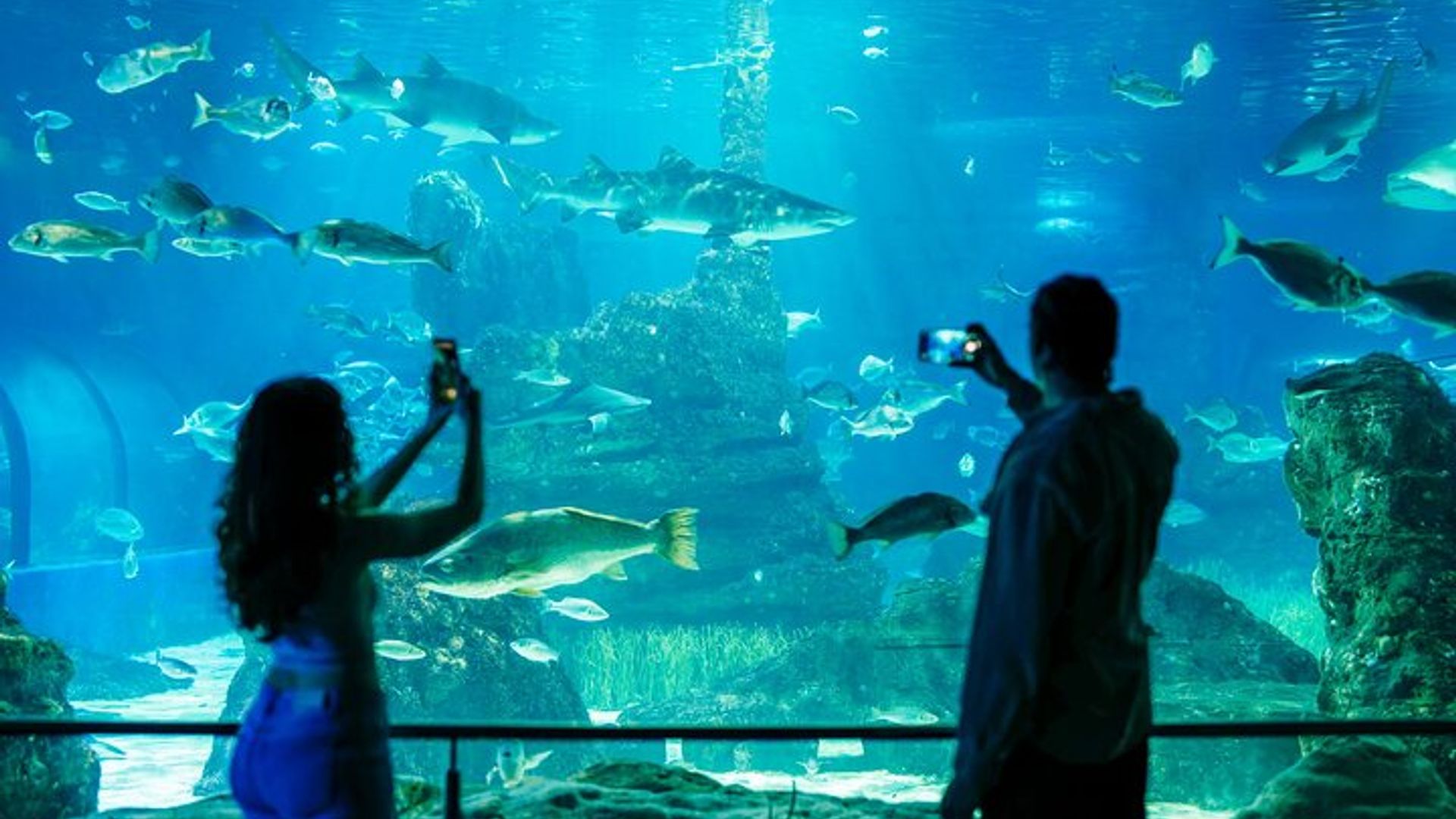 Barcelona Aquarium Timed Skip-the-Line Ticket