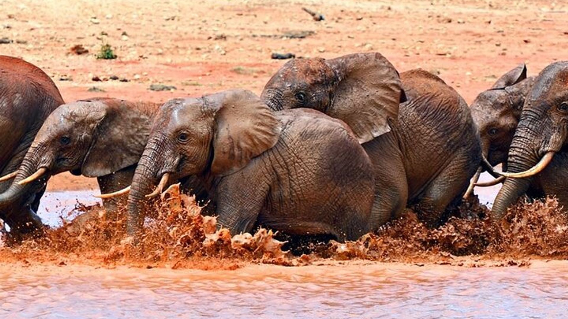 ทัวร์ส่วนตัว 2 วันในอุทยานแห่งชาติ Tsavo East Safari