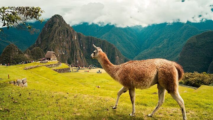 Short Inca Trail 2-Day Small Group Tour to Machu Picchu