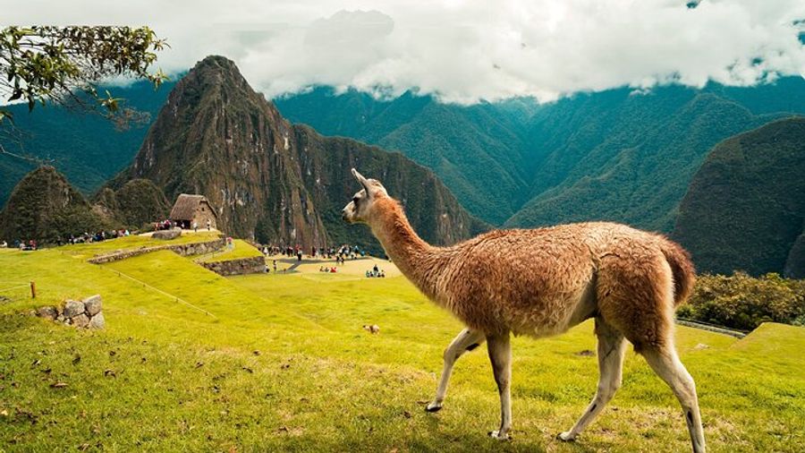 Short Inca Trail 2-Day Small Group Tour to Machu Picchu