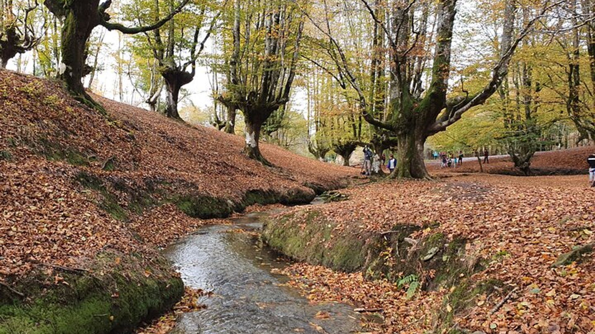 Biskaya Private Tour Besuch von Dörfern, Wäldern und Tälern