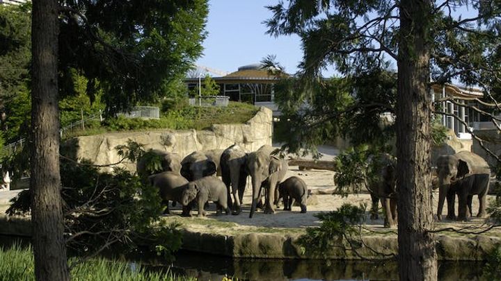 Cologne Zoo tickets with aquarium
