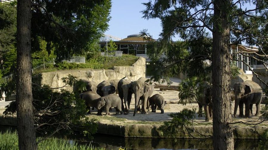 Cologne Zoo tickets with aquarium