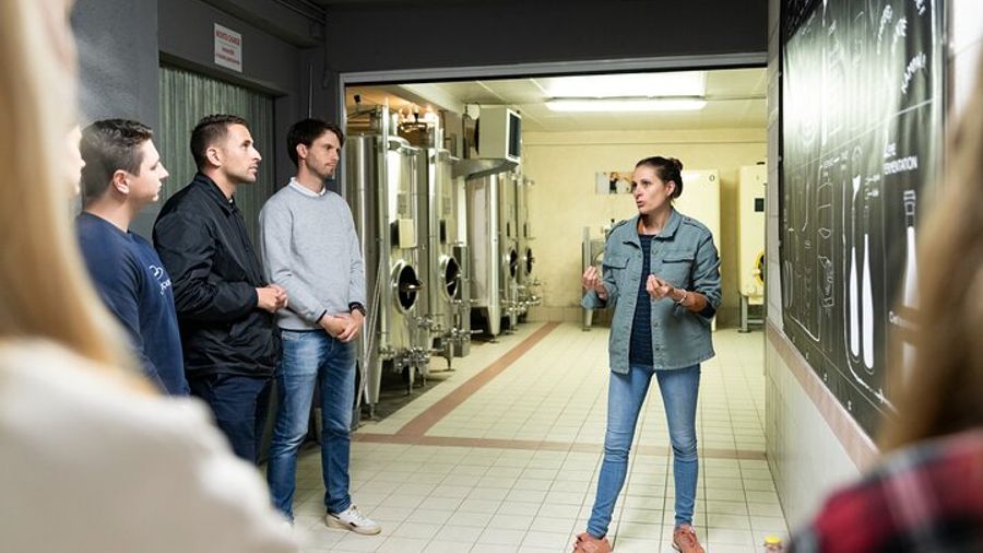 Epernay Avenue de Champagne Tour and Tastings from Reims