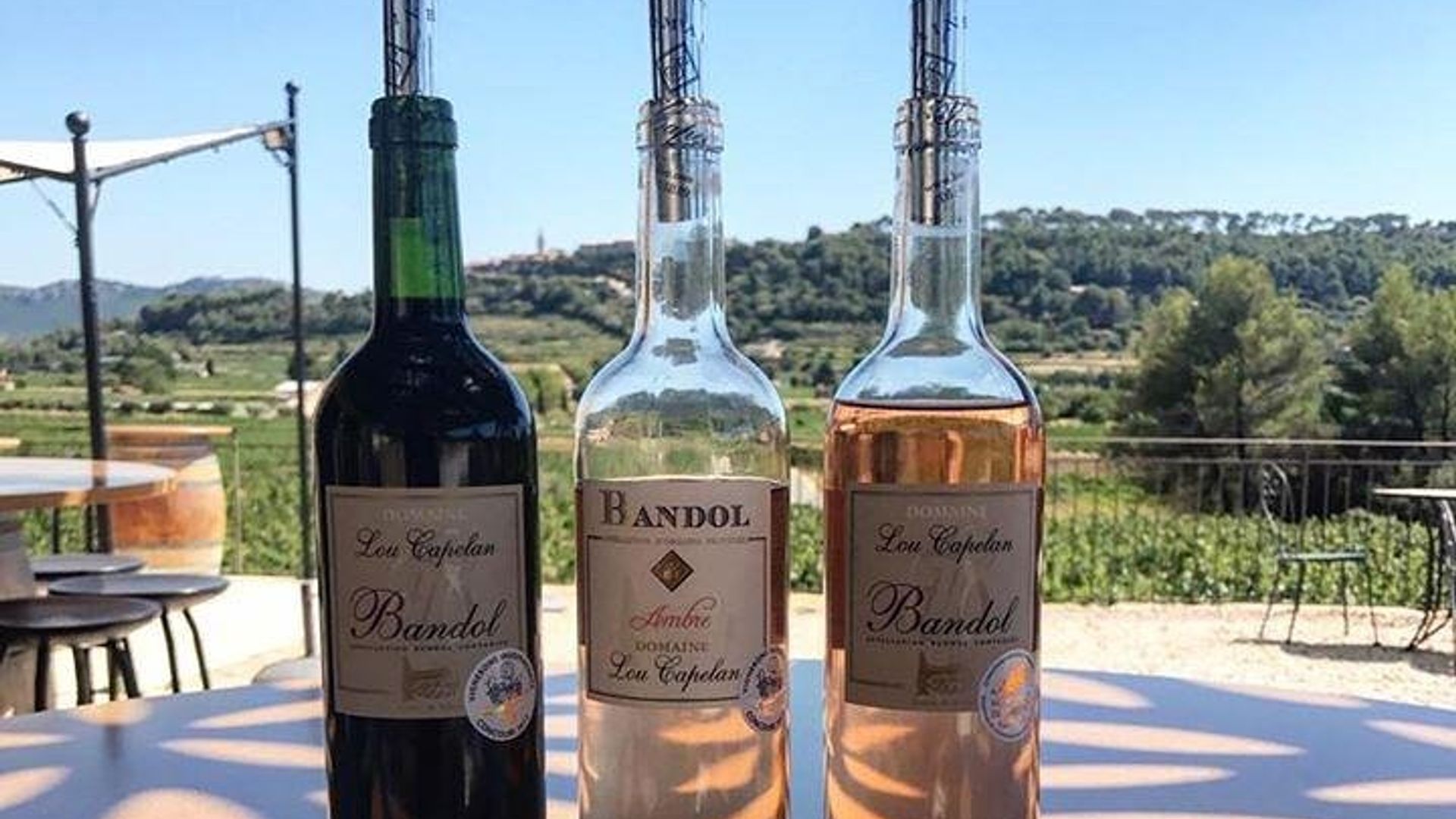 Excursion privée d'une journée de Marseille à Bandol/Cassis