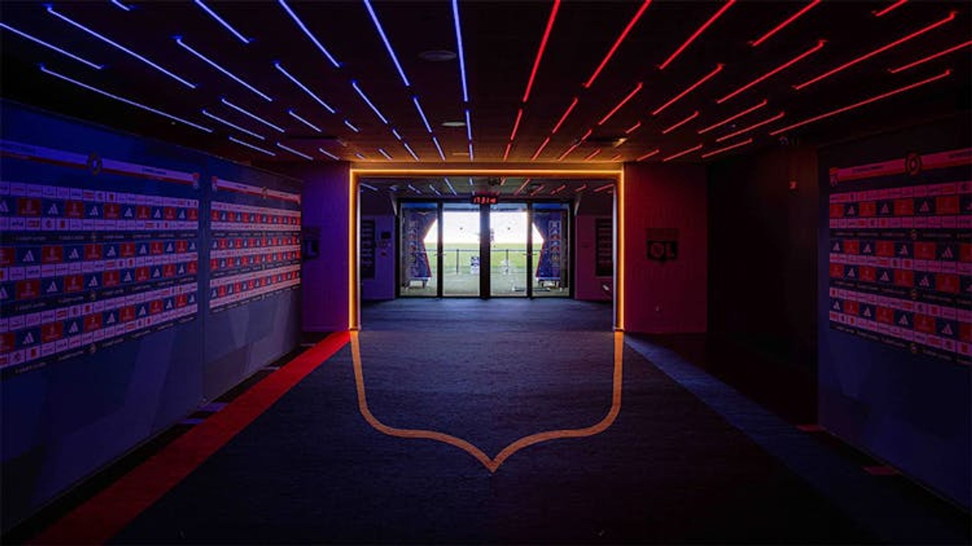 Lyon Groupama Stadium VIP tour and museum visit