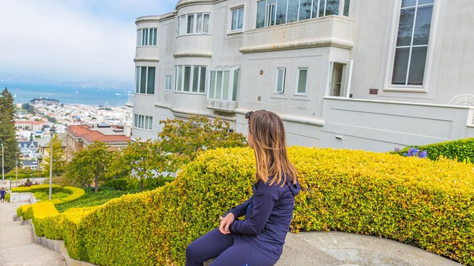 San Francisco & Muir Woods Tour: Golden Gate, Sausalito & More image 1