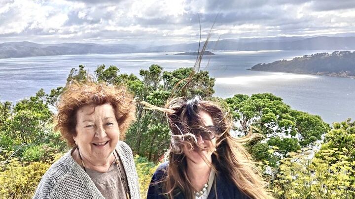 Spectacular Wellington: Half Day Private Sightseeing Tour