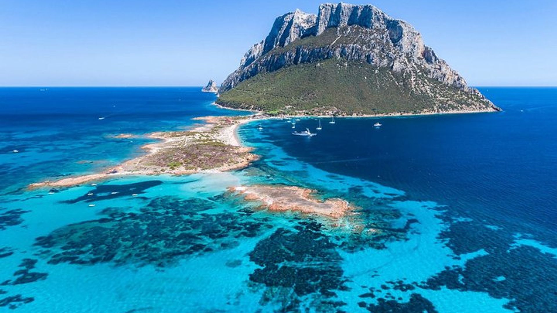 Tour in barca a Tavolara con snorkeling