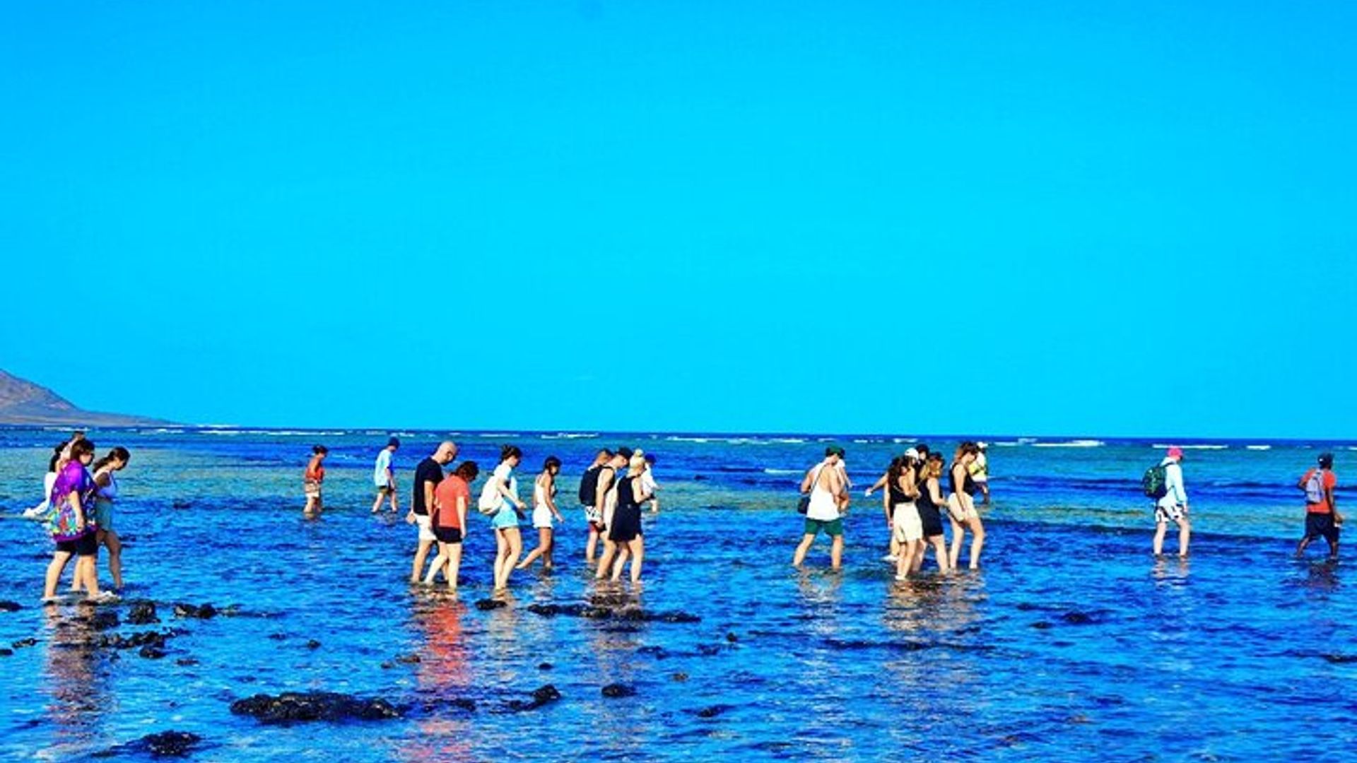 Desde Sal Island Blu eye Lago Salado Limón Tiburones y Palmeira