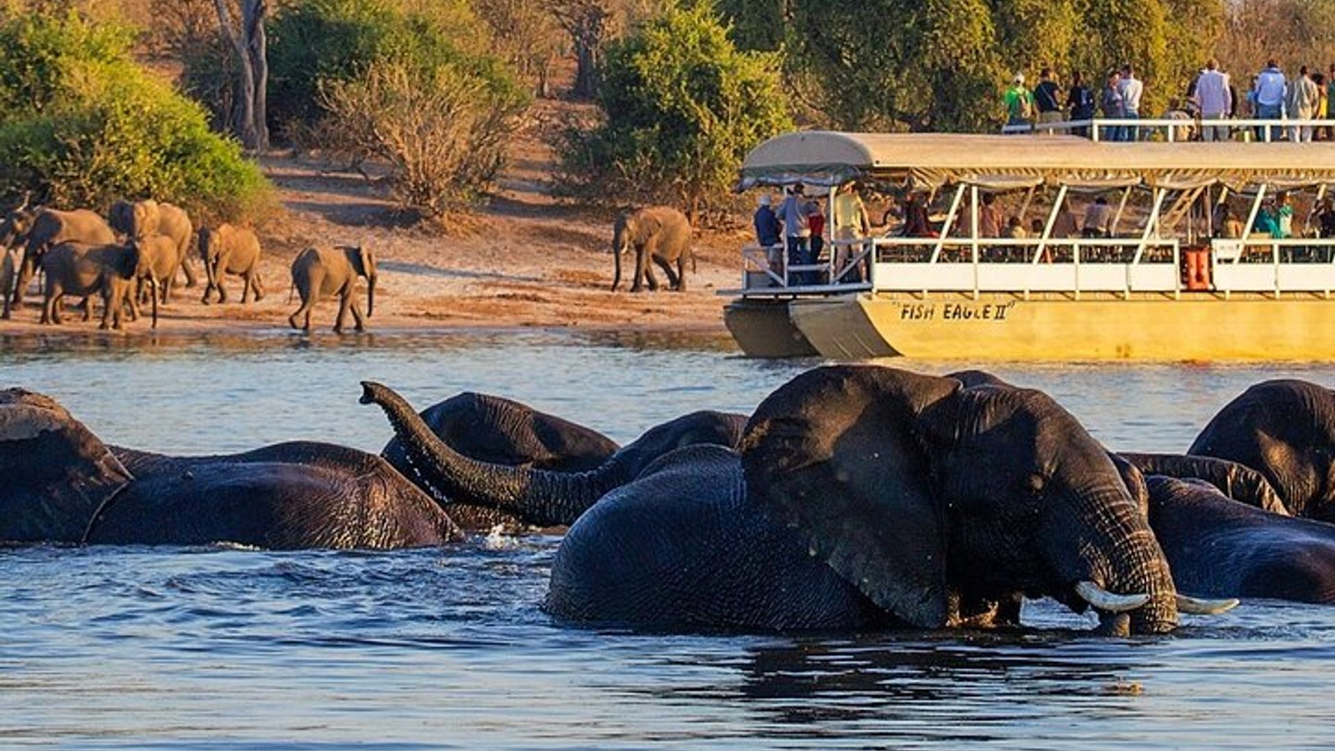 น้ำตกวิกตอเรียสู่อุทยานแห่งชาติ Chobe ผจญภัยสัตว์ป่า 1 วัน