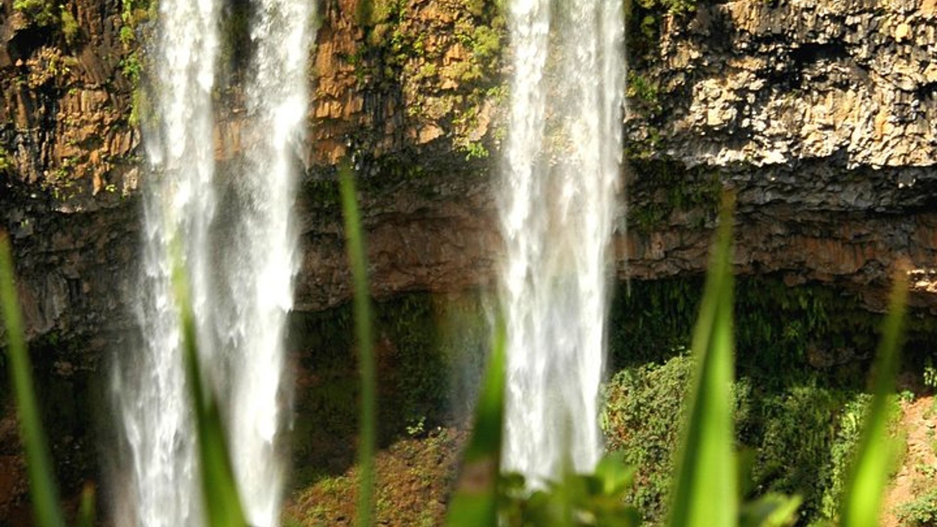 Curepipe ไปยัง Trou-aux-Cerfs และทัวร์ส่วนตัว Black River Gorges