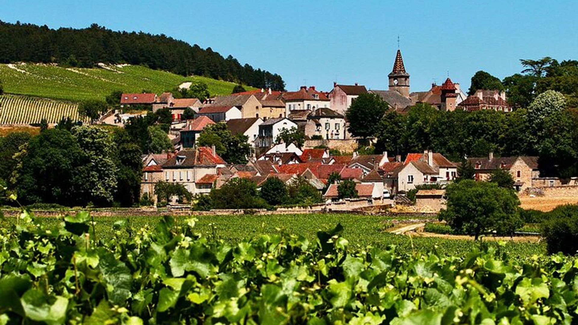 Paris Private Burgundy Tour with Chablis Wine Tastings