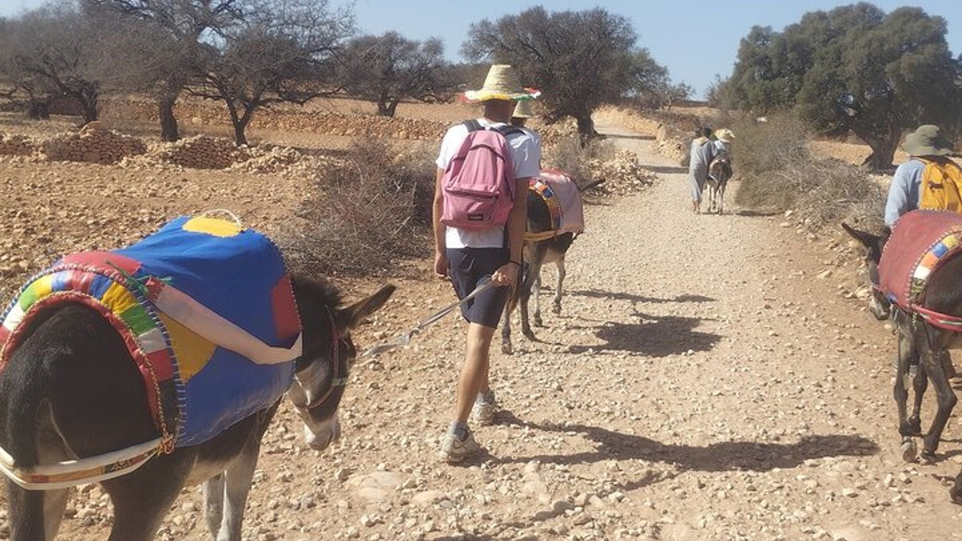 Berber Donkey Ride & Tea in Essaouira